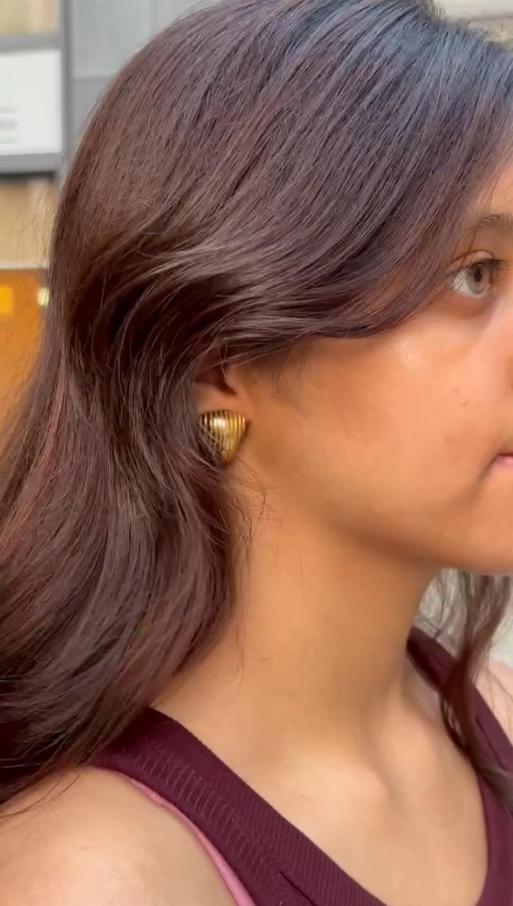 Earrings Collection